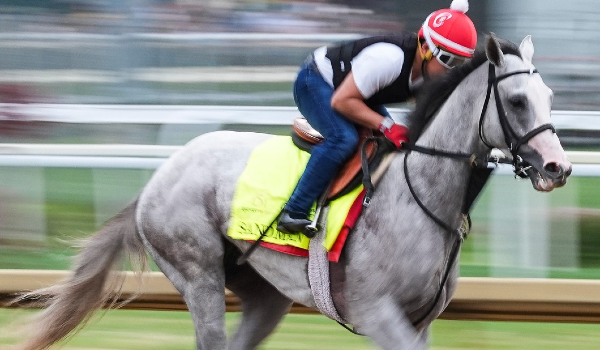 Sign up with the best Kentucky Derby betting promos to get $1,250 in value for the big race.